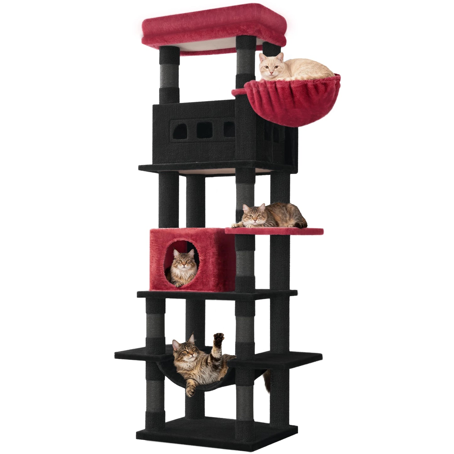 Arbre à Chat | Confort Design