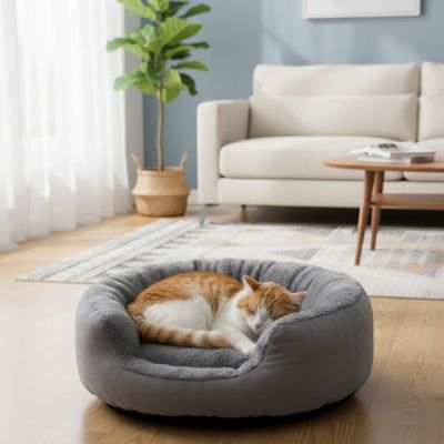 Panier pour chat installé dans un coin cosy du salon