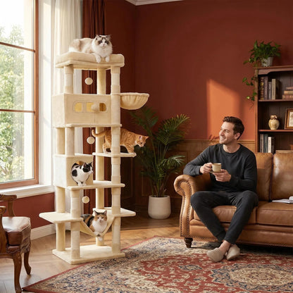 Arbre à Chat | Confort Design