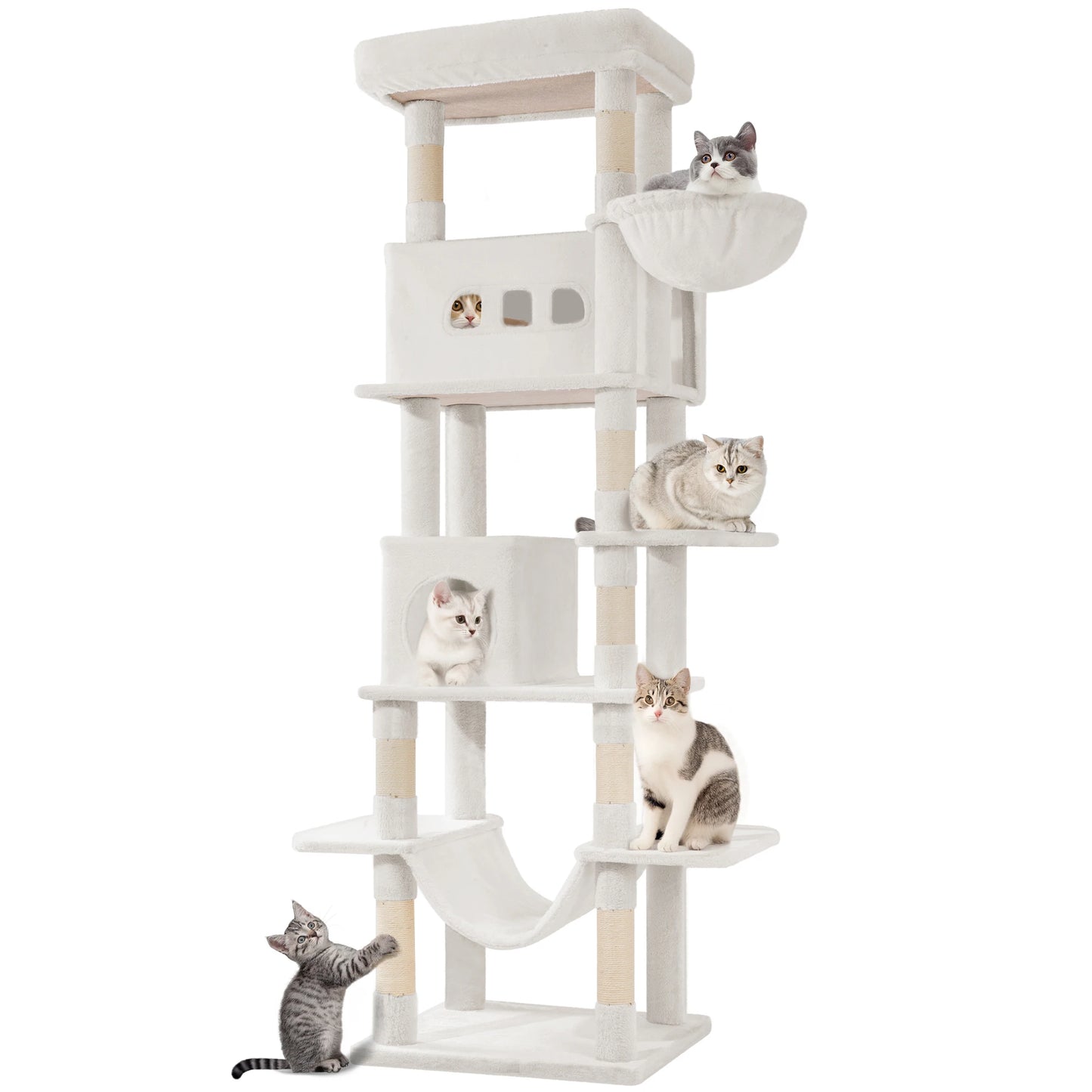 Arbre à Chat XXL | Stabilité Renforcée