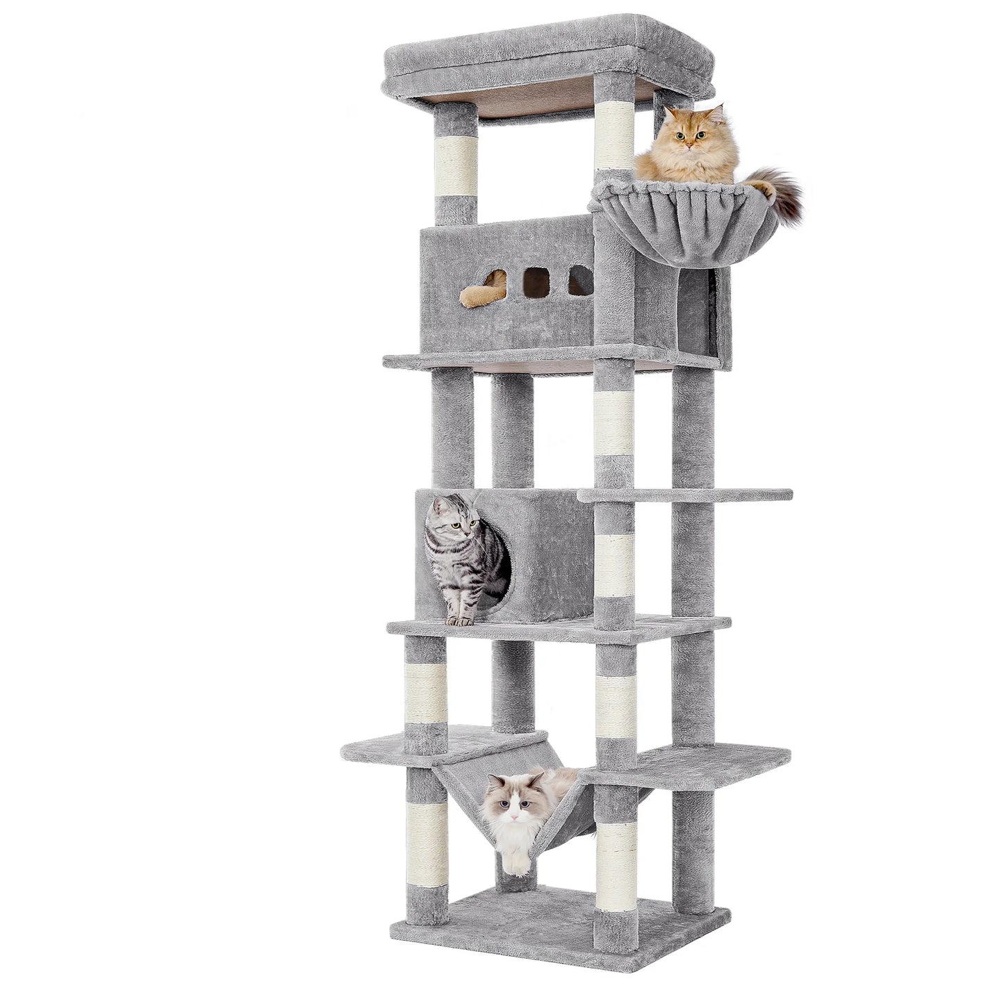 Arbre à Chat XXL | Stabilité Renforcée