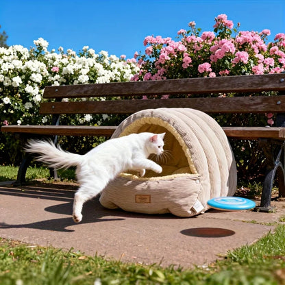 Lit chat beige extérieur