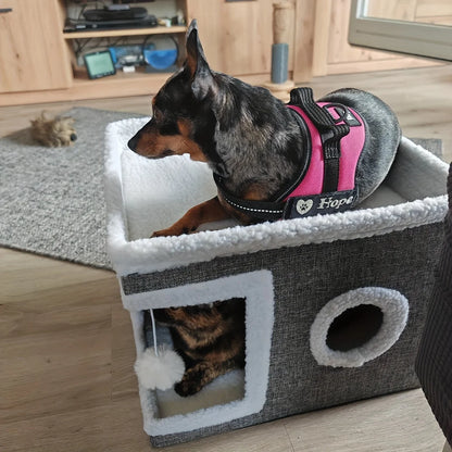 Maison pour chat | Confortable et Design