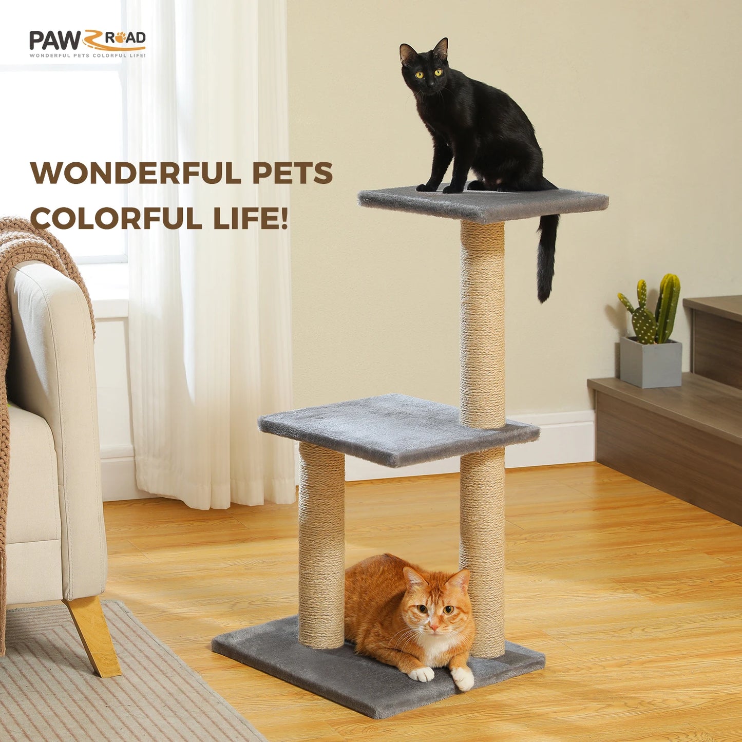 Petit arbre a chat | Compact