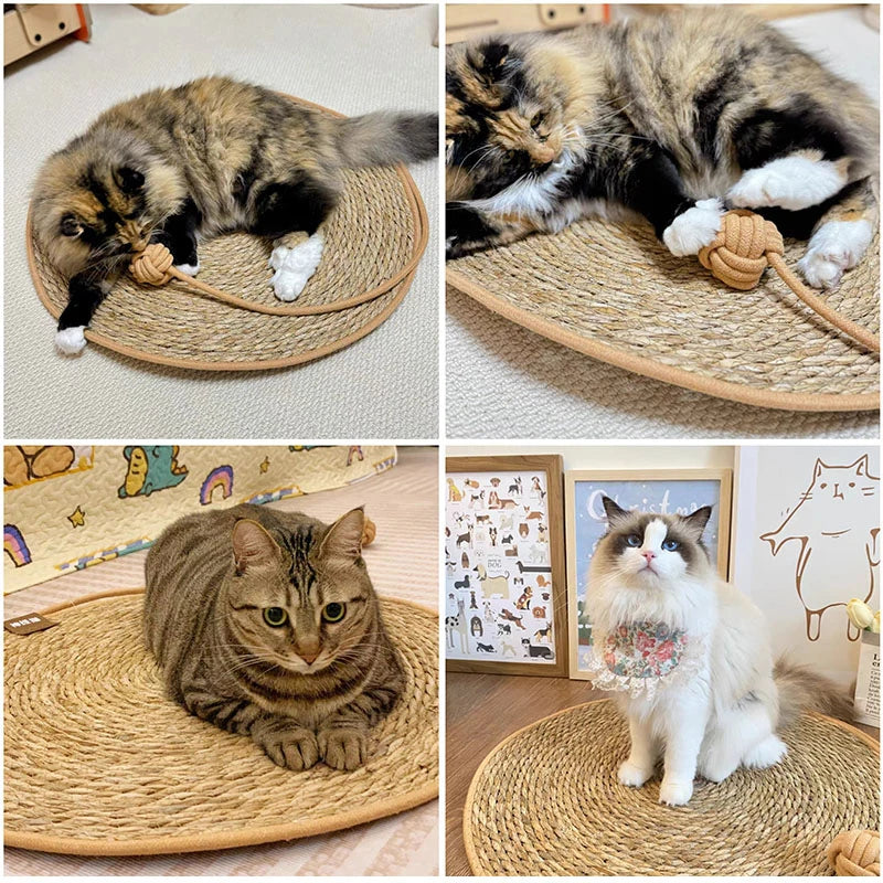 Tapis griffoir Chat | Protecteur