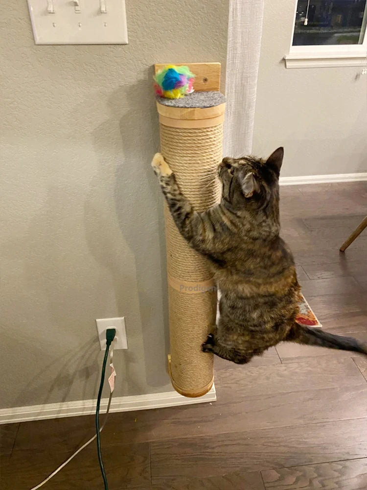 Griffoir chat mural en sisal et bois pour protéger les meubles