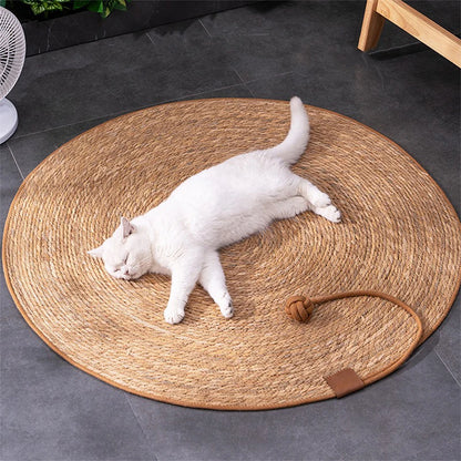 Tapis griffoir Chat | Protecteur