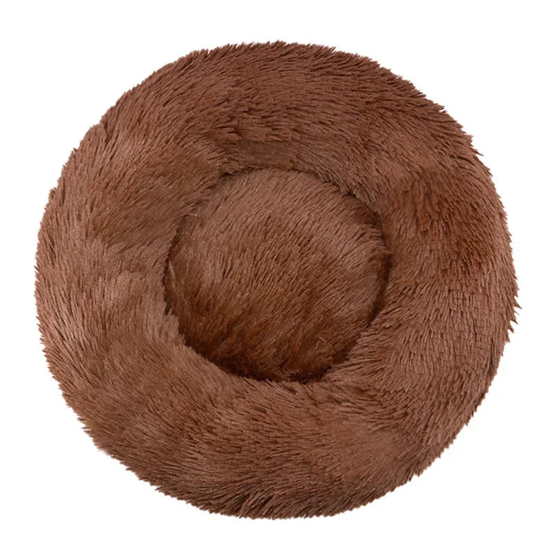 Coussin pour Chat | Ultra-Confortable