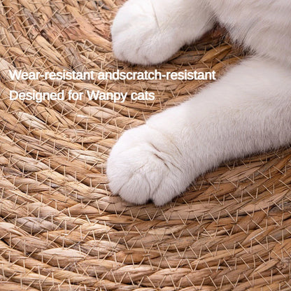 Tapis griffoir Chat | Protecteur
