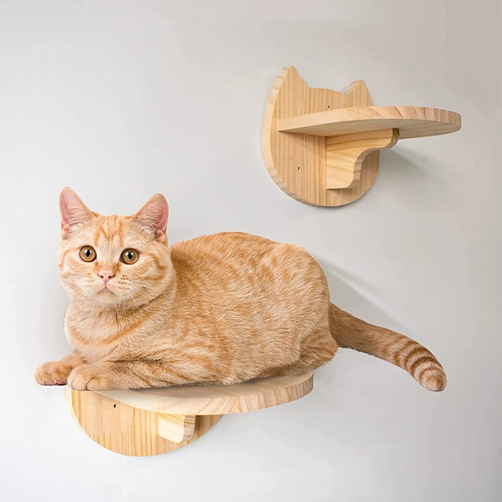 Arbre a Chat mural | Gain de Place