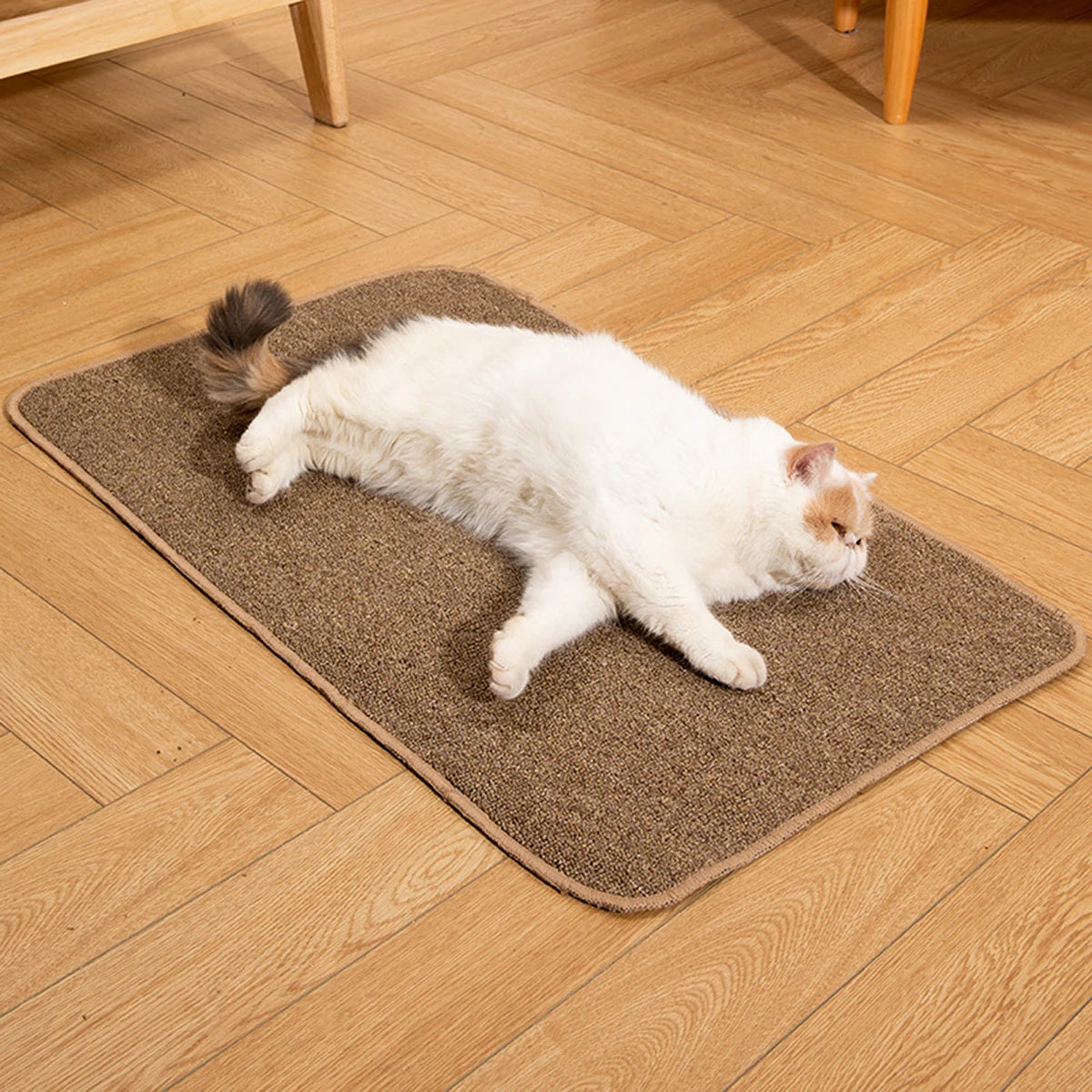 Tapis griffoir Chat | Confort Durable