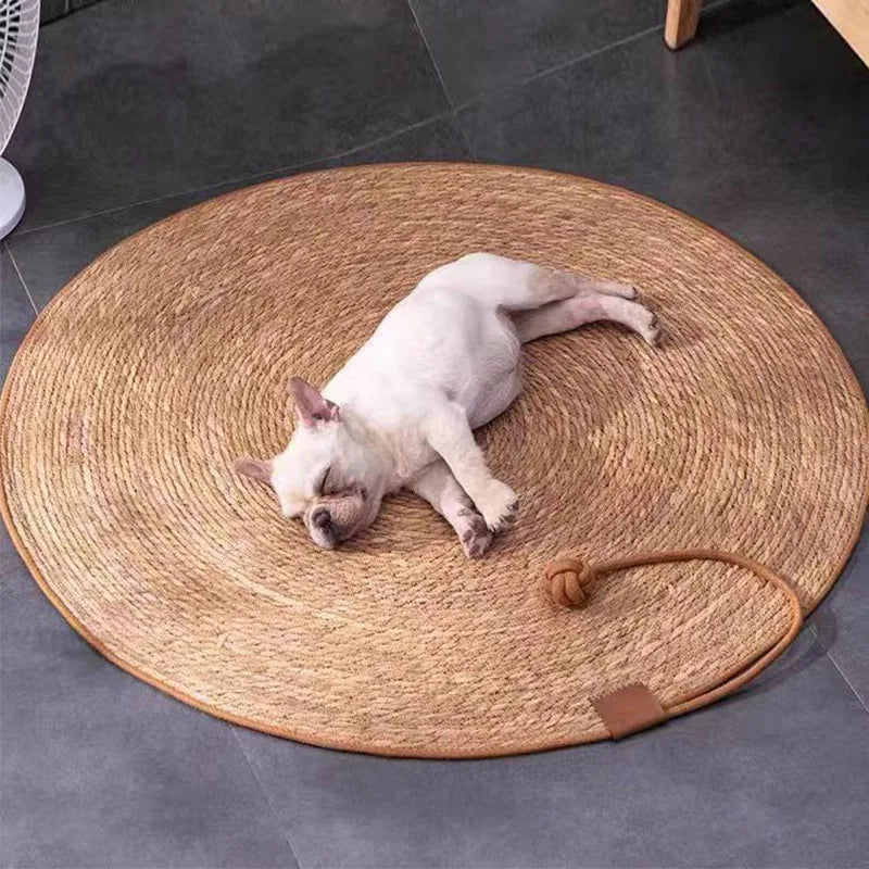 Tapis griffoir Chat | Protecteur