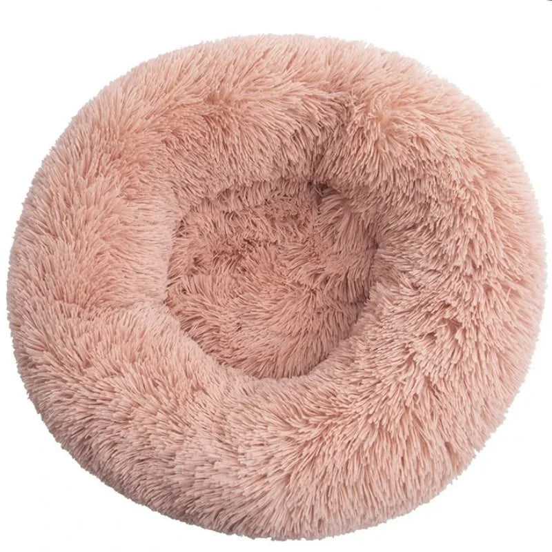Coussin pour Chat | Ultra-Confortable