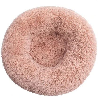 Coussin pour Chat | Ultra-Confortable