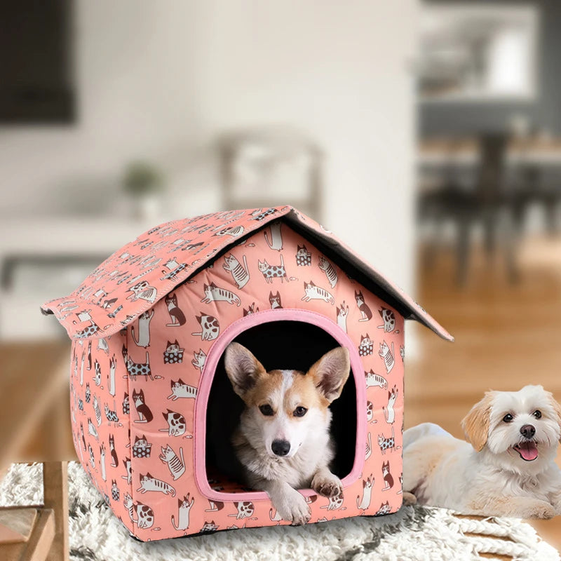 Maison pour chat | Confortable et Design