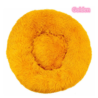 Coussin Chat | Ultra-Confortable
