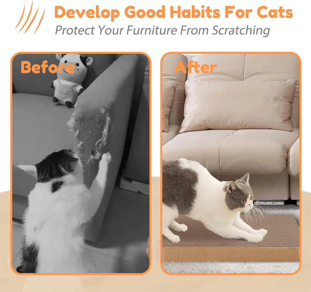 Griffoir chat en carton confortable avec espace de repos