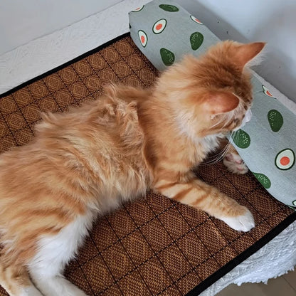 Tapis rafraichissant Chat | Auto-refroidissant
