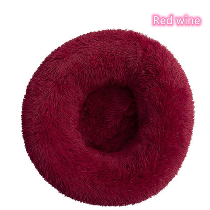Coussin Chat | Ultra-Confortable