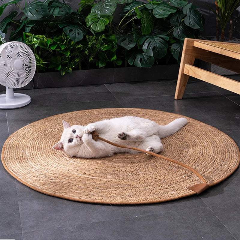 Tapis griffoir Chat | Protecteur
