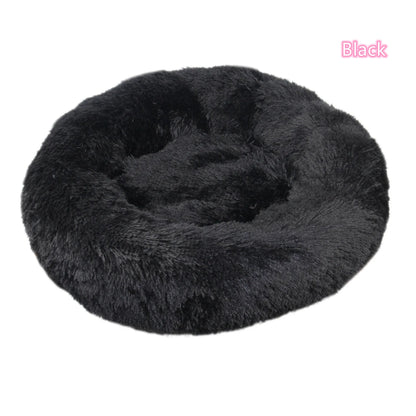 Coussin Chat | Ultra-Confortable