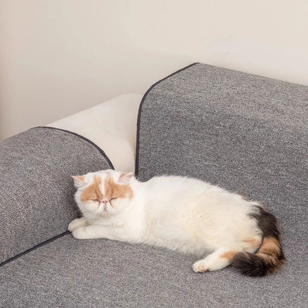 Tapis griffoir Chat | Confort Durable