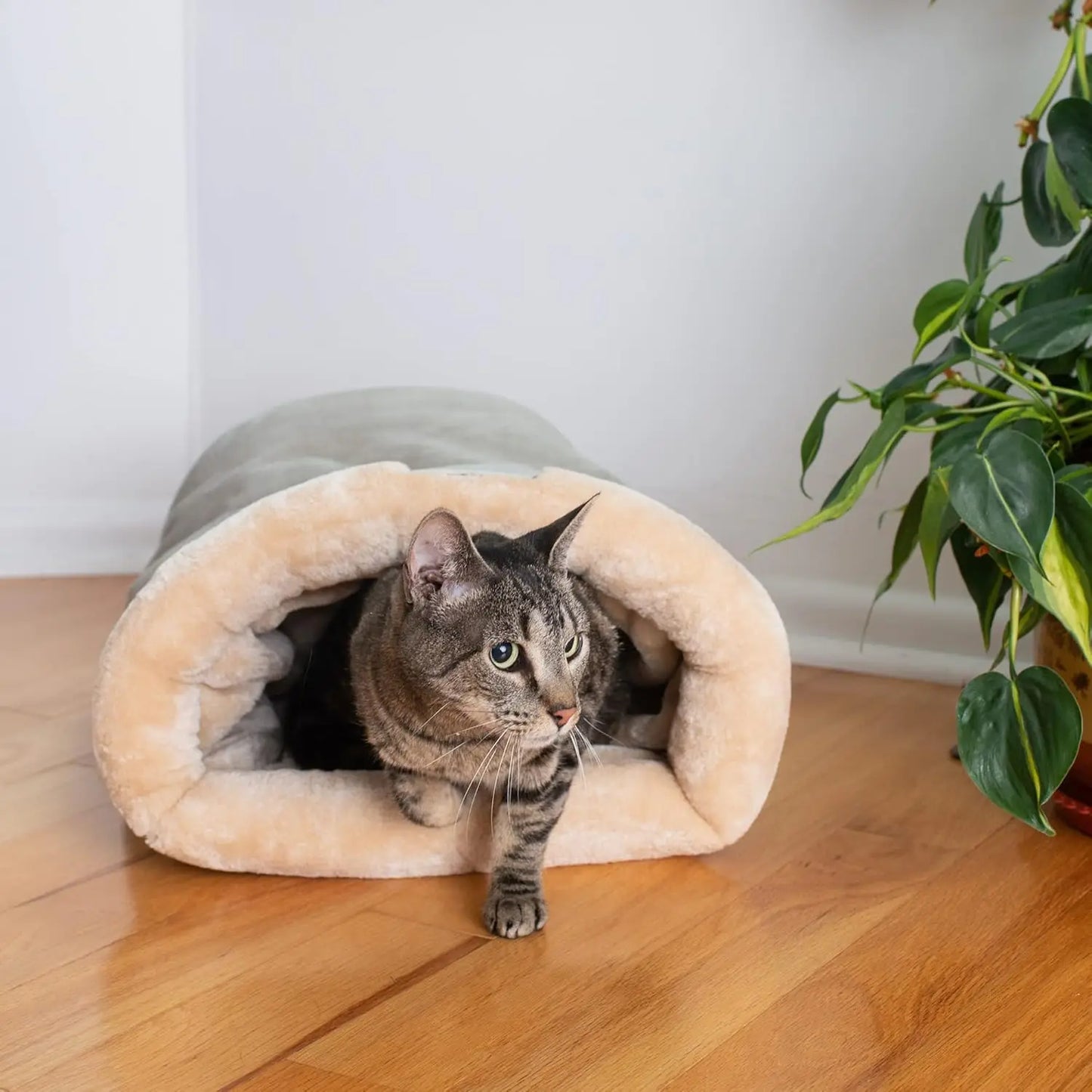 Lit pour Chat | Ultra-Confortable