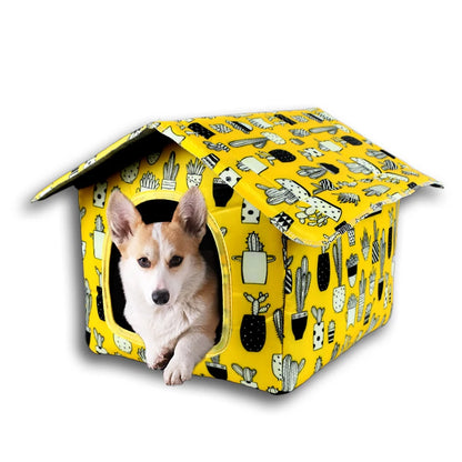 Maison pour chat | Confortable et Design