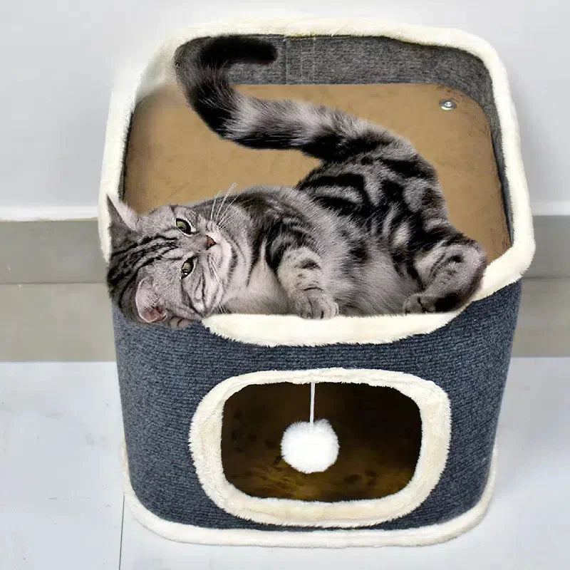 Arbre à Chat | Confort et Robustesse