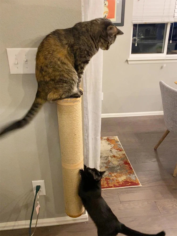 Griffoir chat mural en sisal et bois pour protéger les meubles