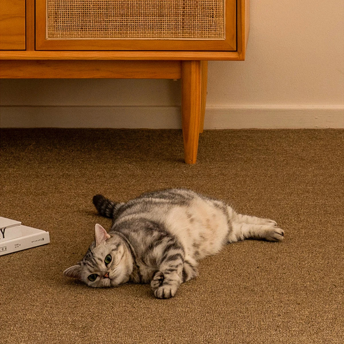 Tapis griffoir Chat | Confort Durable
