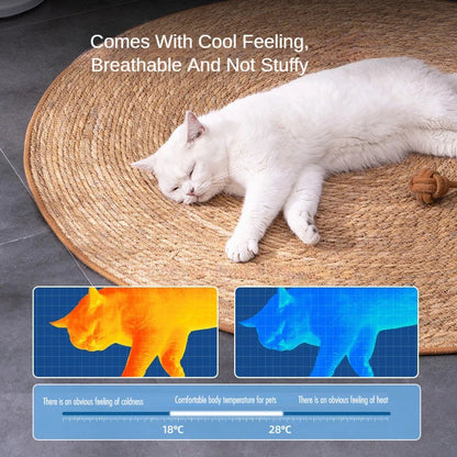 Tapis griffoir Chat | Protecteur