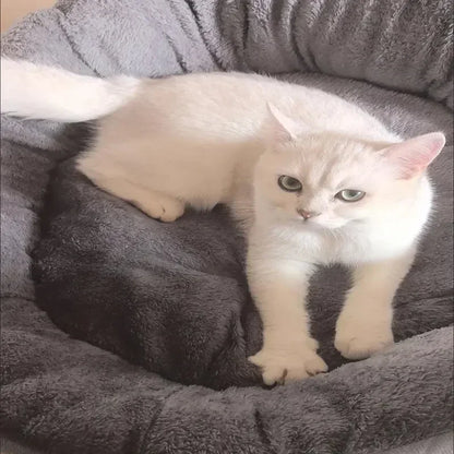 Panier pour chat | Douillet et Confortable