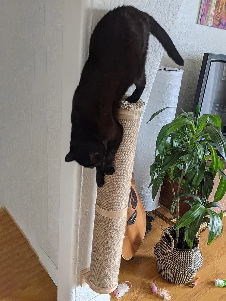 Griffoir chat mural en sisal et bois pour protéger les meubles