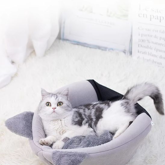 chat couche lit caverne ouvert gris