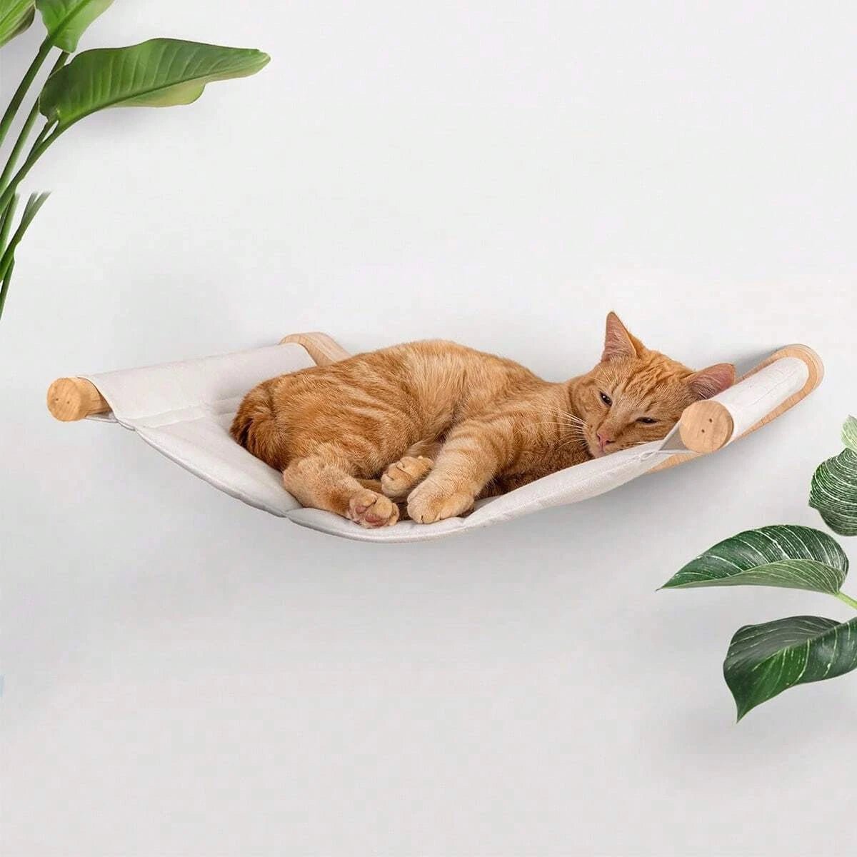 chat roux endormi hamac mural bois blanc