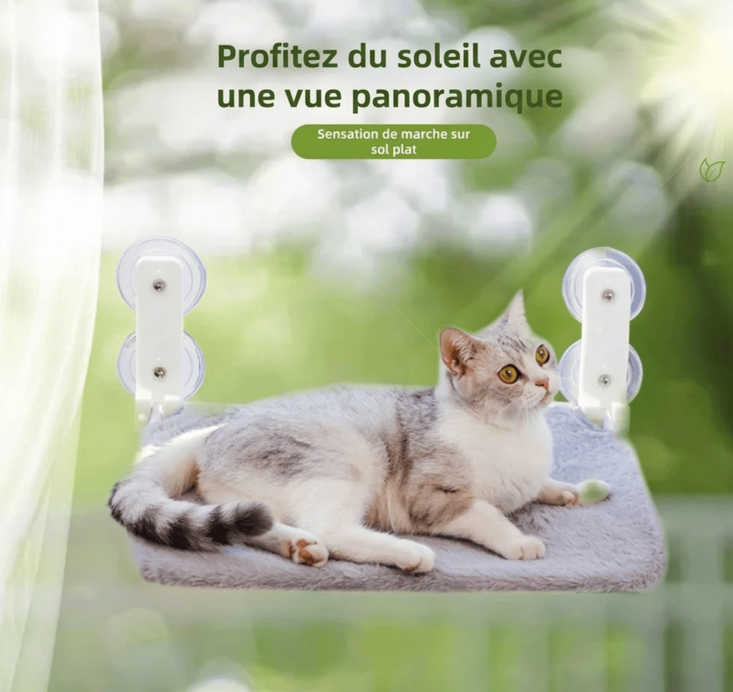 chat tigre hamac fenetre peluche gris soleil
