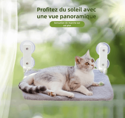 chat tigre hamac fenetre peluche gris soleil