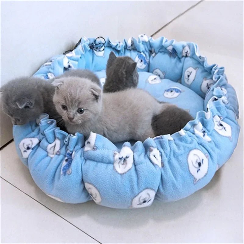coussin chat | Premium Confort - Le Bonheur du Chat