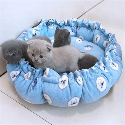 coussin chat | Premium Confort - Le Bonheur du Chat