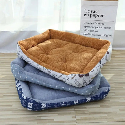 Chat allongé confortablement sur le coussin