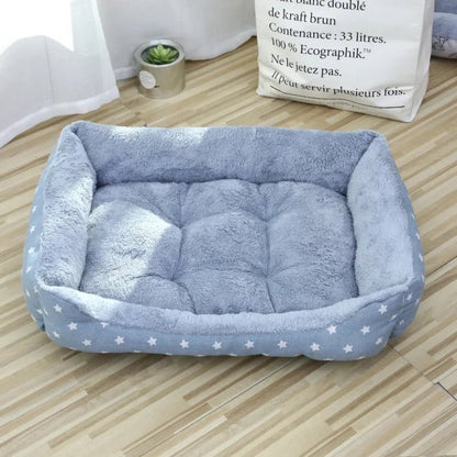 Chat au repos sur le coussin ultra-confortable