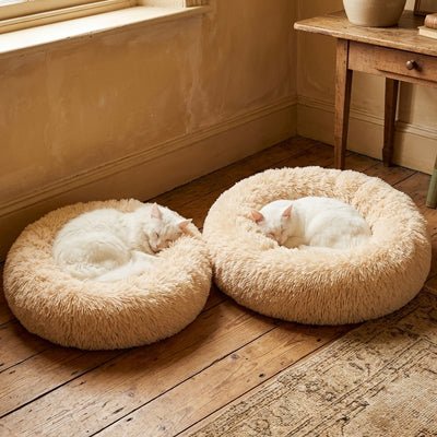 Coussin donut pour chat vue d'ensemble