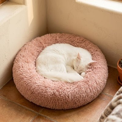 Coussin donut pour chat vue d'ensemble