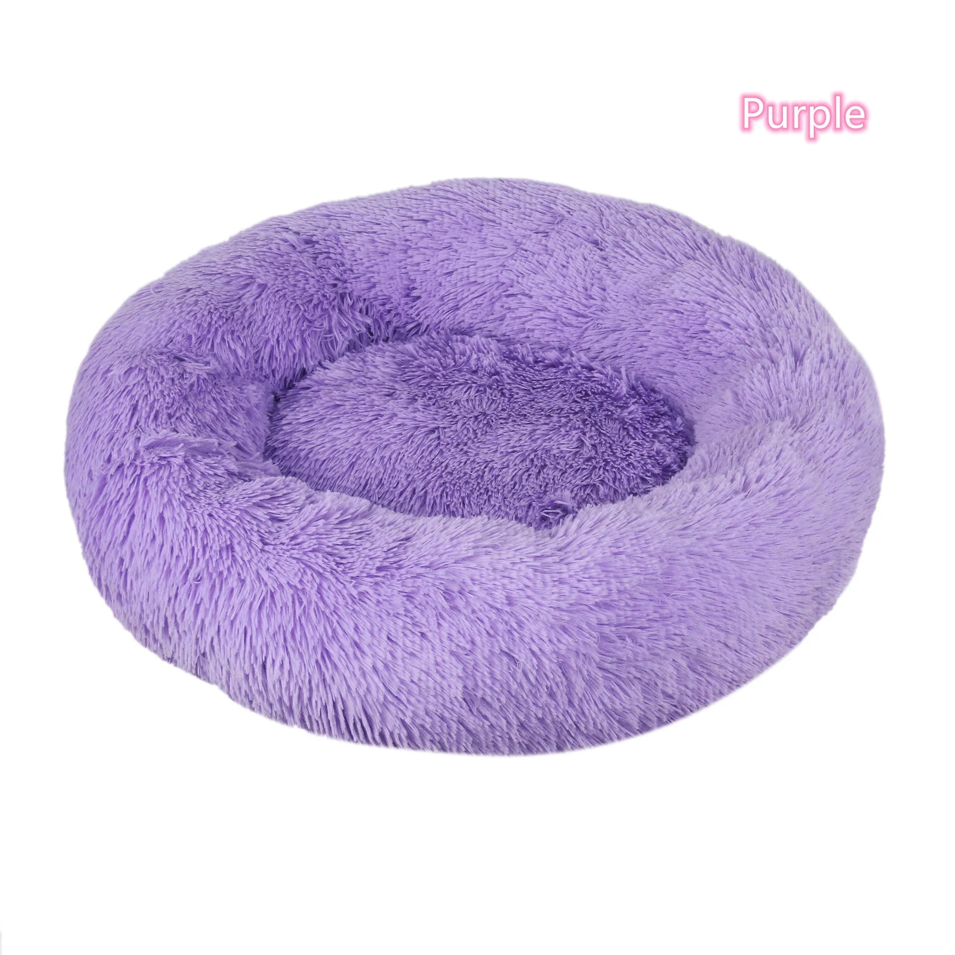 Coussin pour chat installé près d'une fenêtre