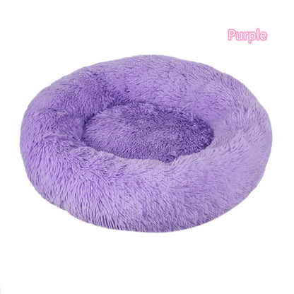 Coussin pour chat installé près d'une fenêtre