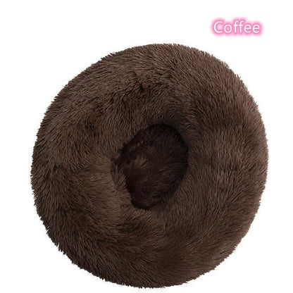 Chat endormi paisiblement dans le coussin donut