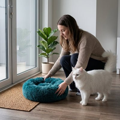 Coussin donut en peluche douce pour chat, gros plan