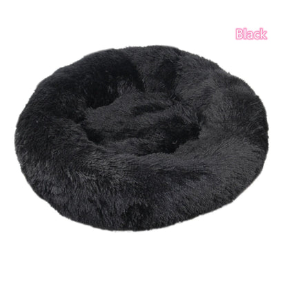 Coussin pour chat en peluche, couleur et texture