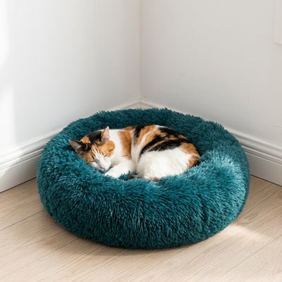 Chat blotti en boule dans le coussin donut moelleux